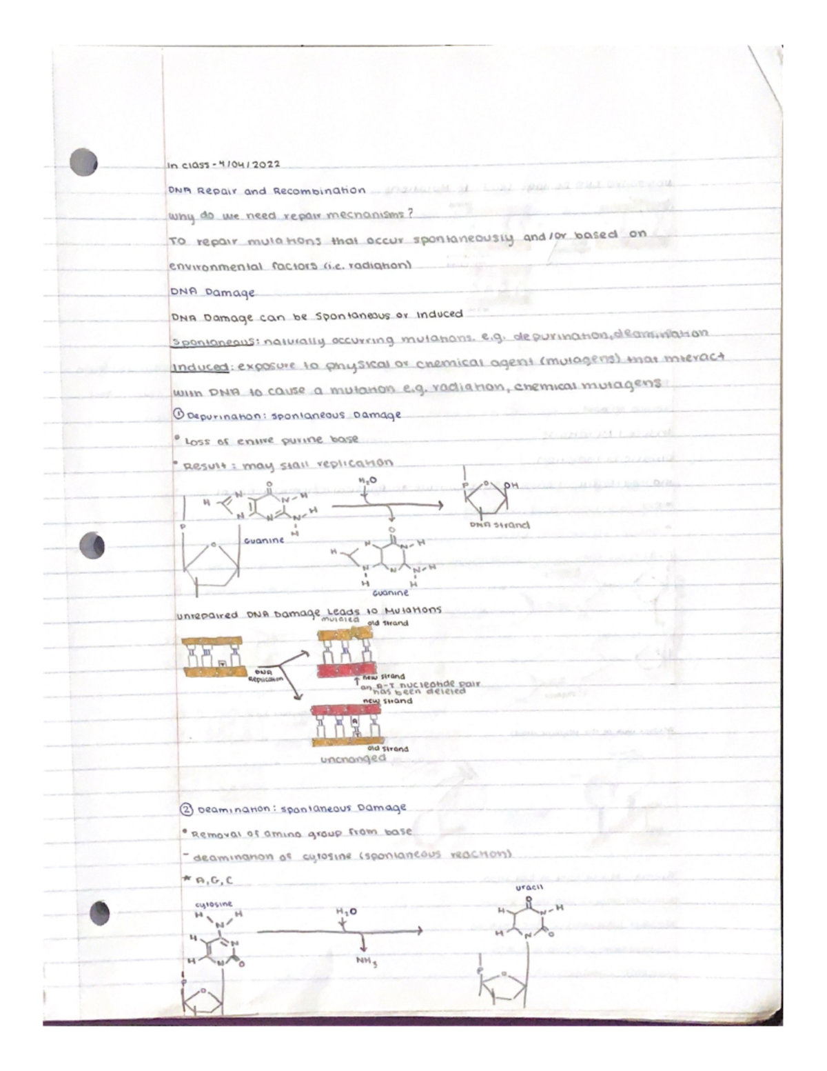 BIOS 041 Lecture Notes (spring 2022) - 3 - BIOS 041 - Studocu