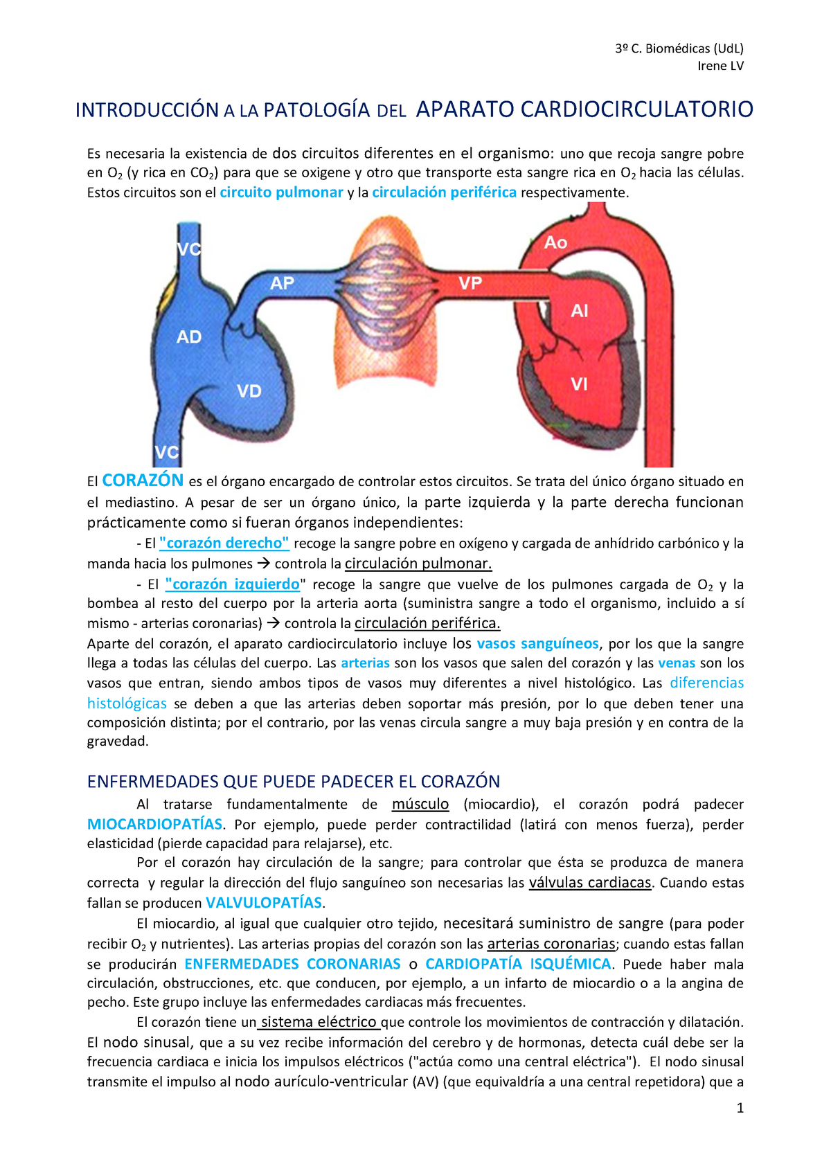 Fisiopatología Del Aparato Cardio-circulatorio - C. (UdL) Irene LV A LA ...