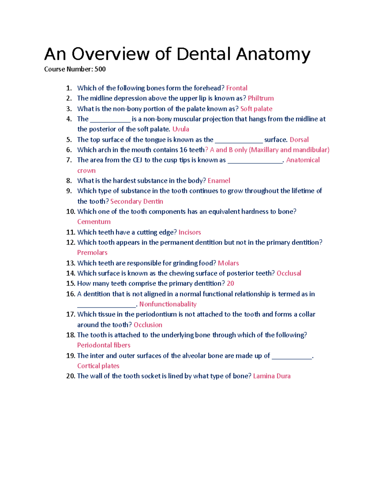 An Overview of Dental Anatomy An Overview of Dental Anatomy Course Number 500 Which of the