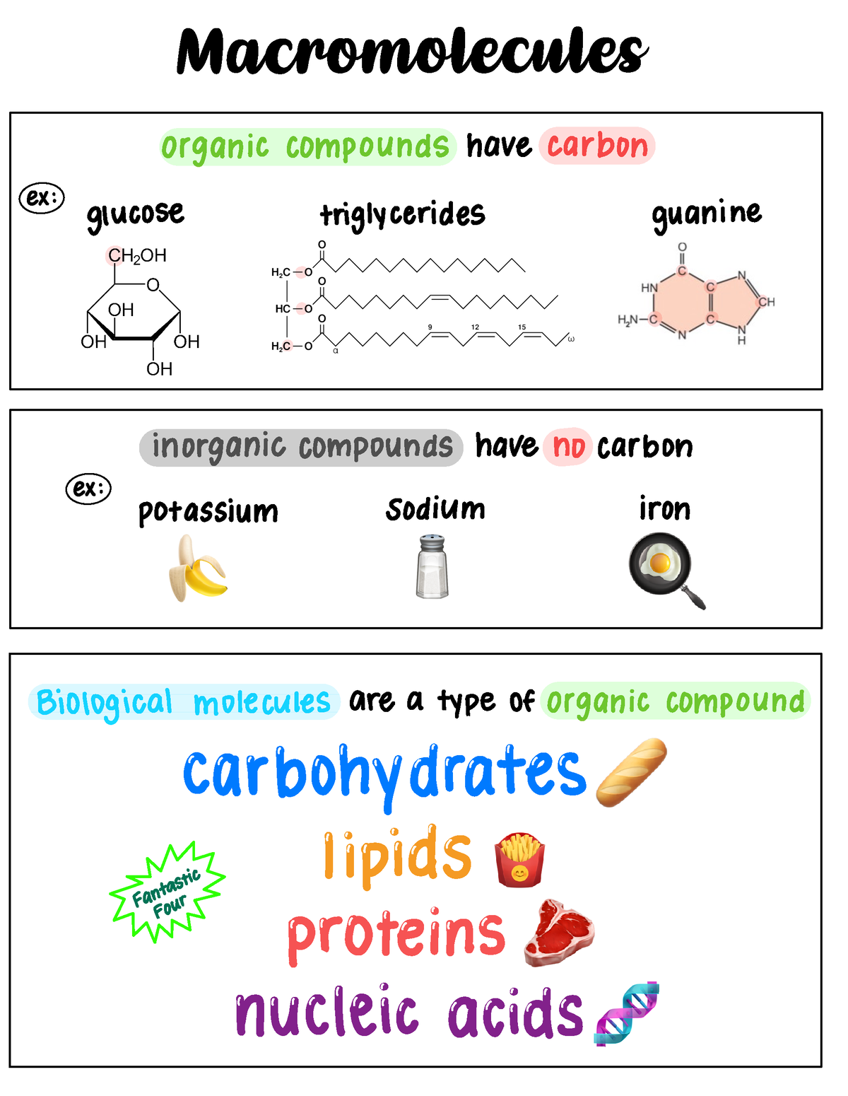 Copy of Biomolecules - Homeostasis - BIOL 2401 - Studocu