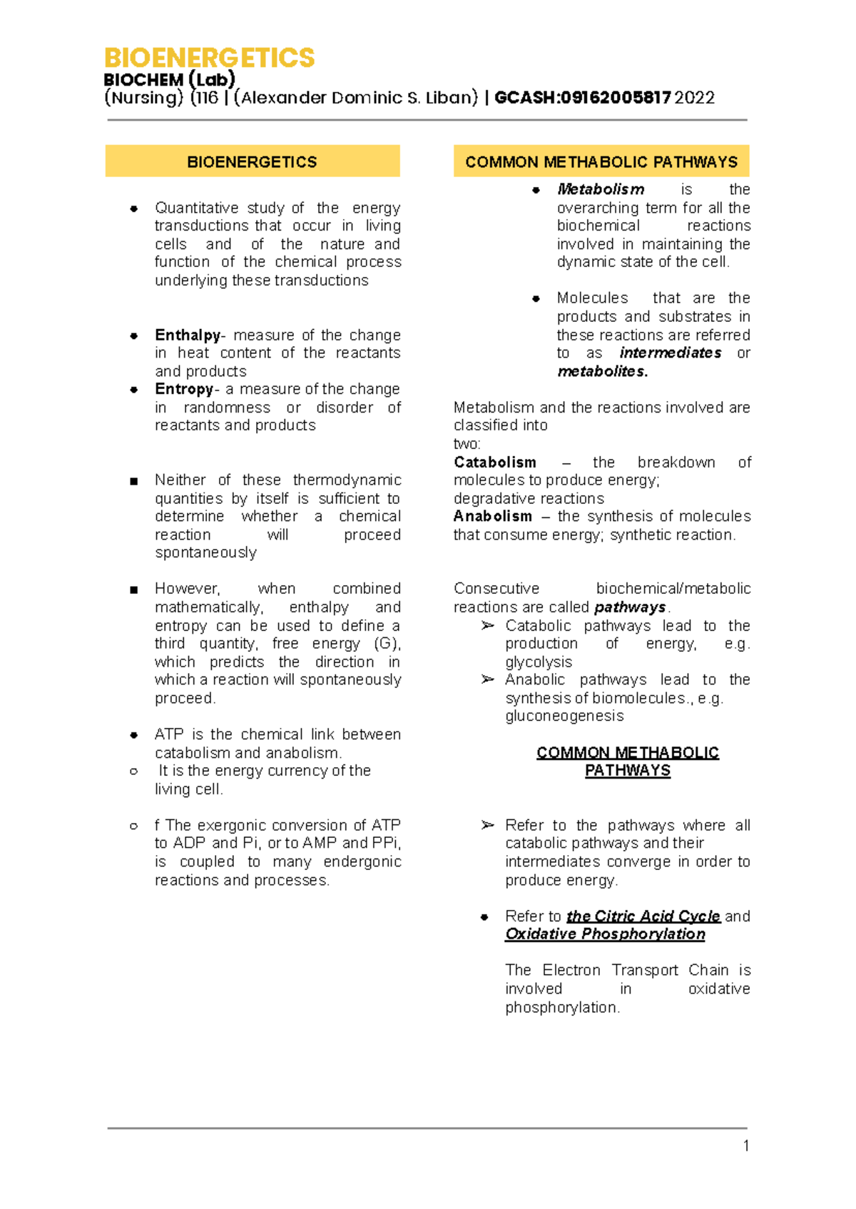 Bioenergetics - Biochem Bioenegetics trans - BIOCHEM (Lab) (Nursing ...
