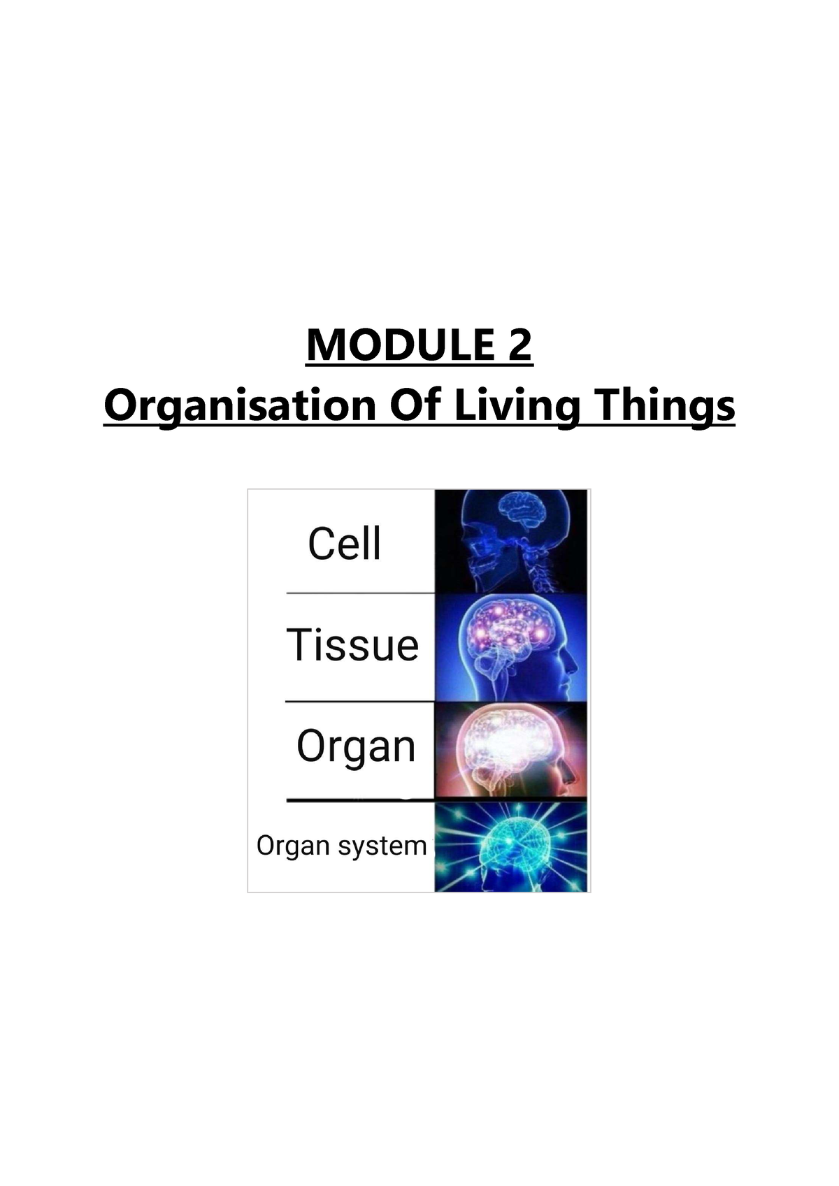 Module 2 Biology - MODULE 2 Organisation Of Living Things Module 2 ...