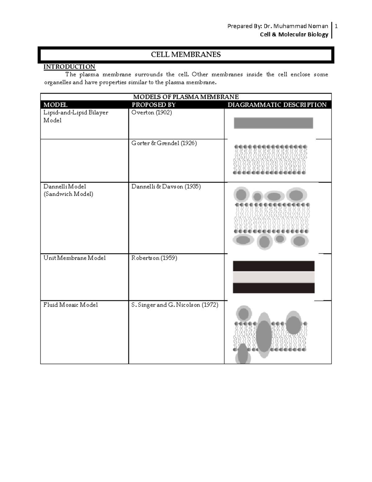 CELL Membranes Cell & Molecular Biology CELL MEMBRANES INTRODUCTION