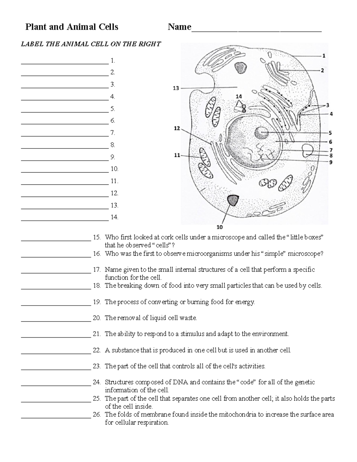 Animal And Plant Cell - Plant And Animal Cells Name 