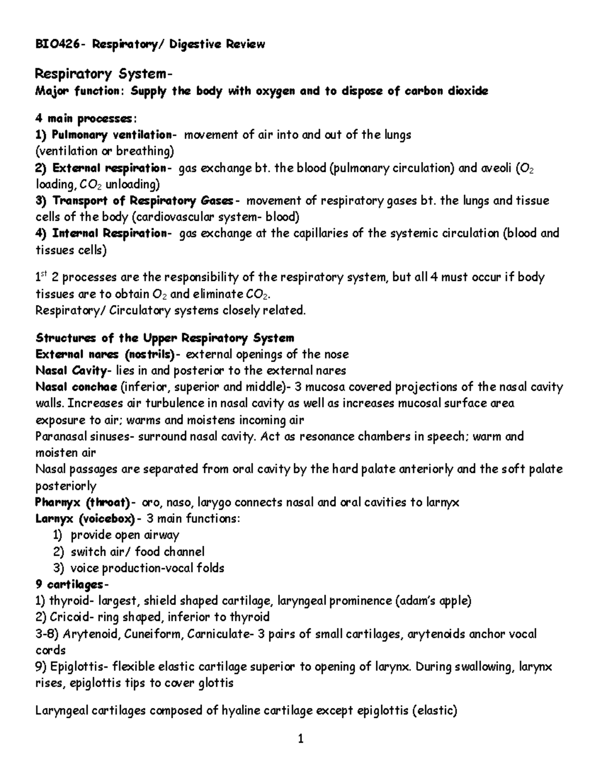 Exam 2 Review - BIO426- Respiratory/ Digestive Review Respiratory ...