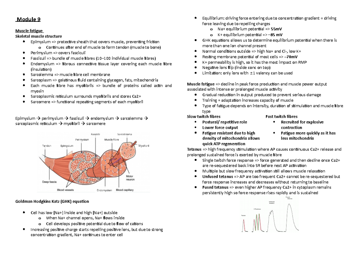 BIOM2012 Module 9 Musculoskeletal System 2 - Module 9 Muscle fatigue ...