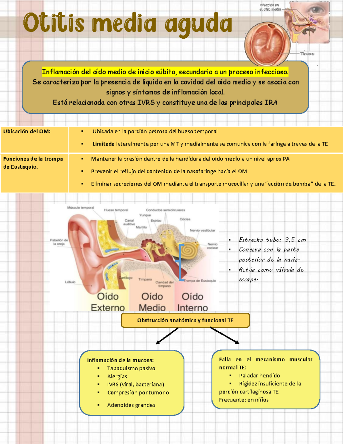 Otitis media agudaapunte Ubicación del OM Ubicada en la porción petrosa del hueso temporal