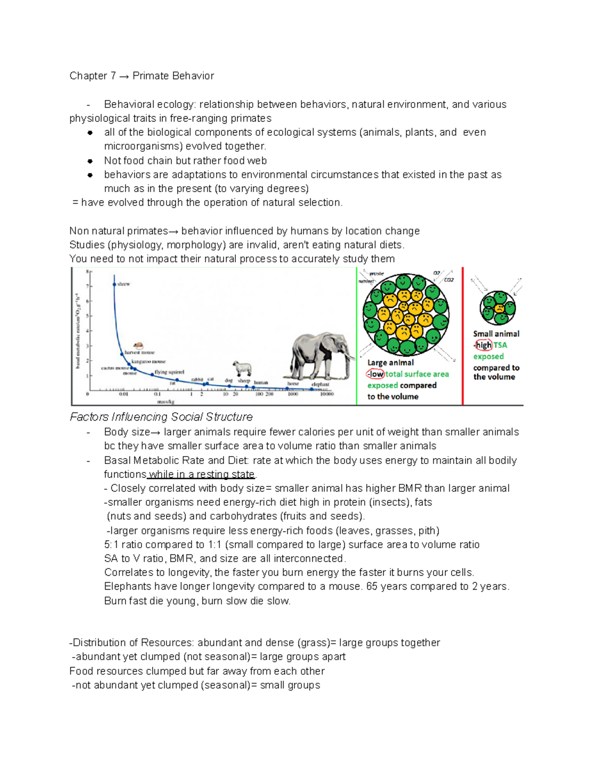 Ch7 - chapter 7 notes - Chapter 7 → Primate Behavior Behavioral ecology ...