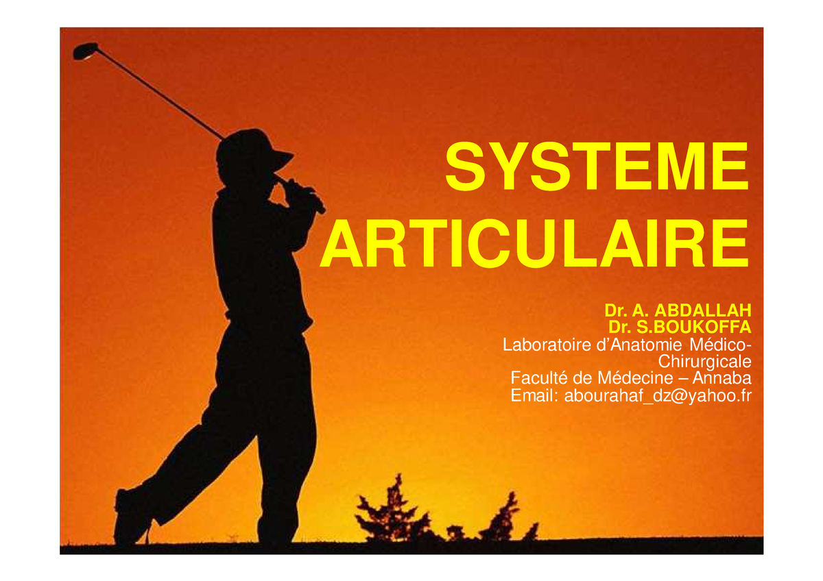 anatomie-systme-articulaire-systeme-articulaire-dr-a-abdallah-dr-s