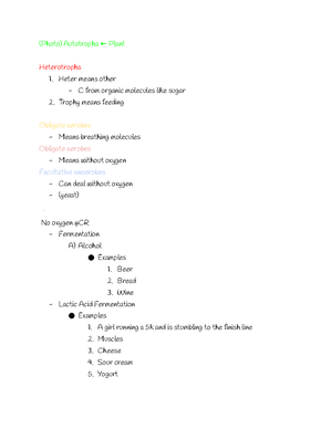 Chapter 8Photosynthesis Review 2009 10 - Chapter 8 – Photosynthesis ...