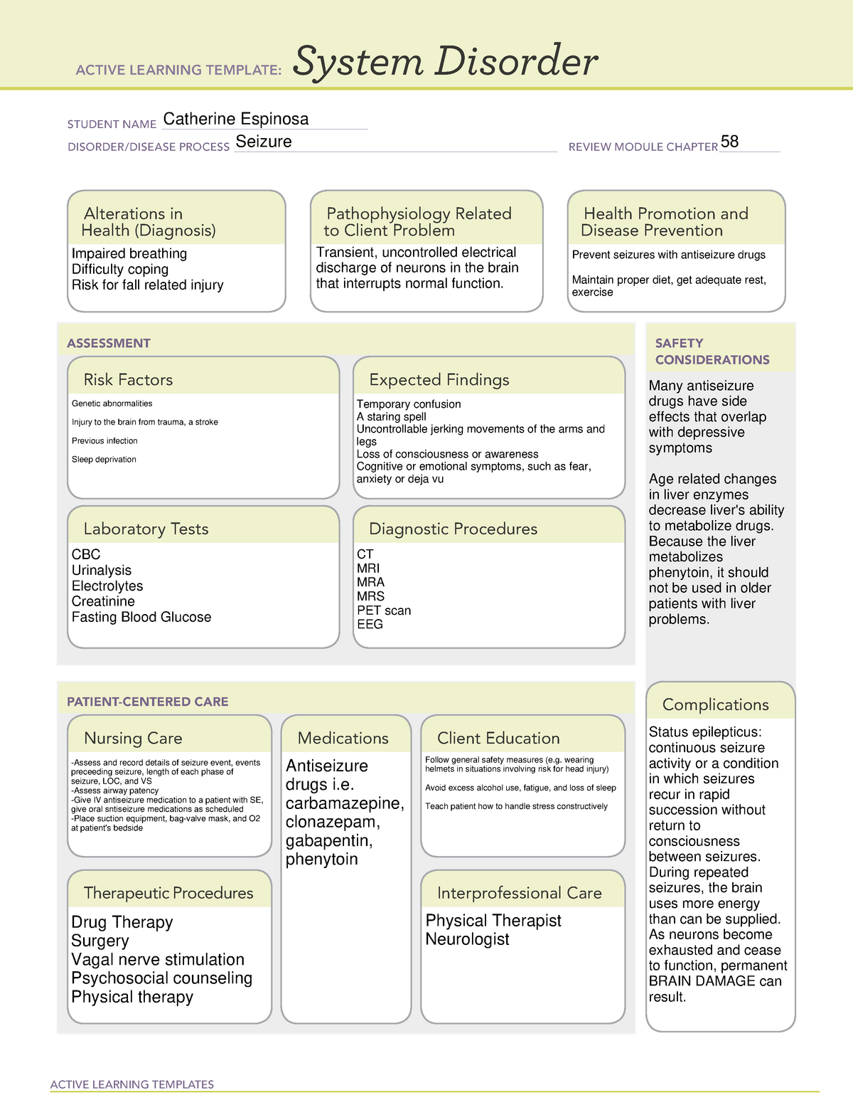 Seizure System Disorder - ACTIVE LEARNING TEMPLATES System Disorder ...