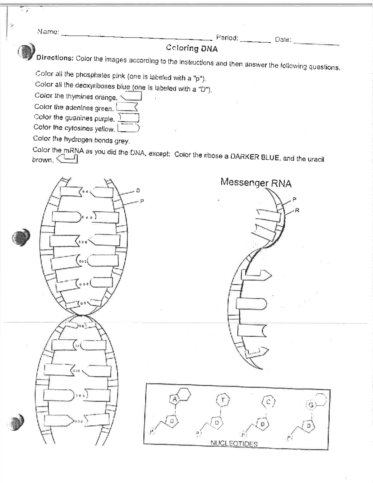 DNA vs RNA Packet cxubwebucjwekcbuew BEE 3310 Studocu