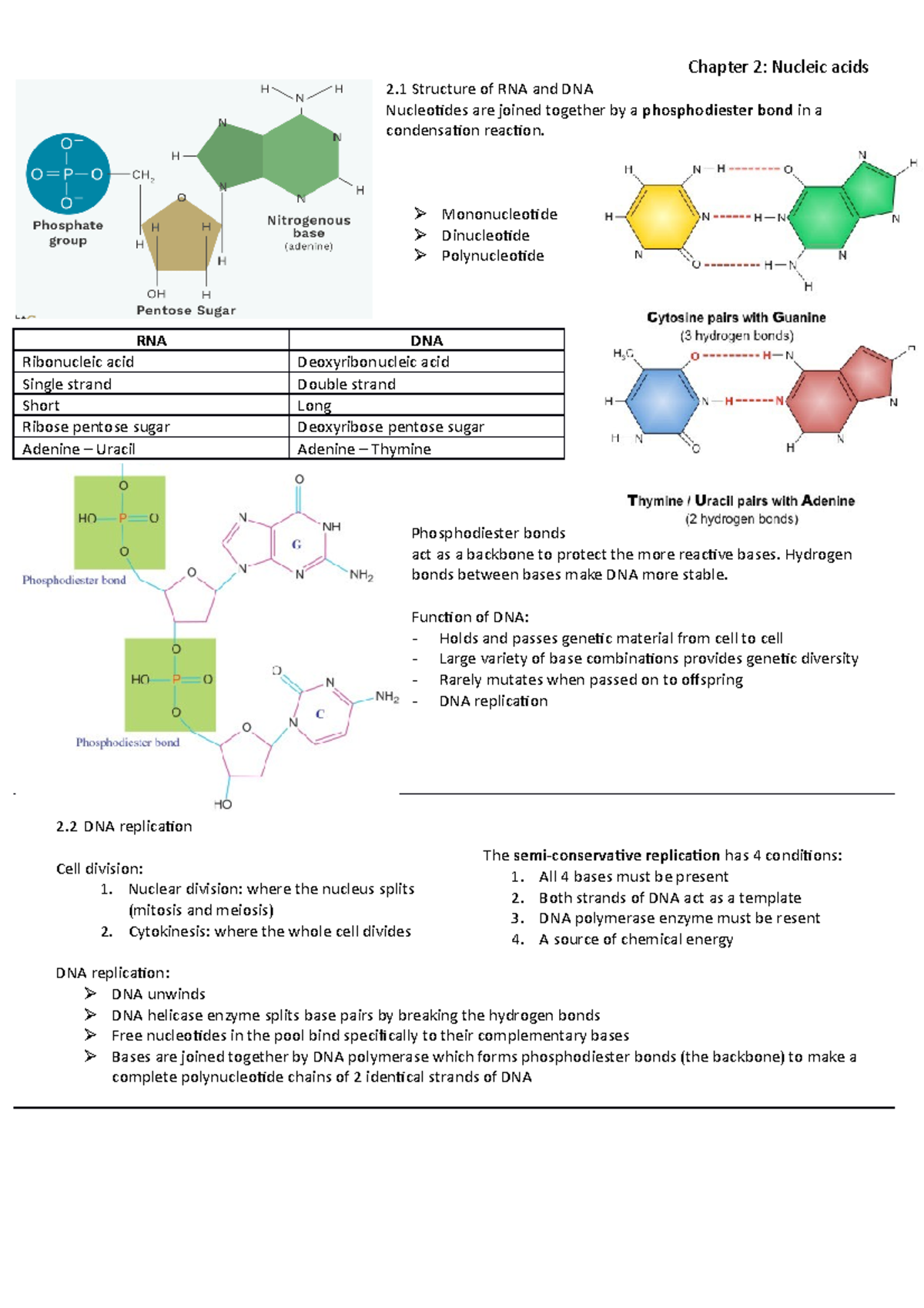 Nucleic Acids A Level Biology Notes Chapter 2 Nucleic Acids 2 