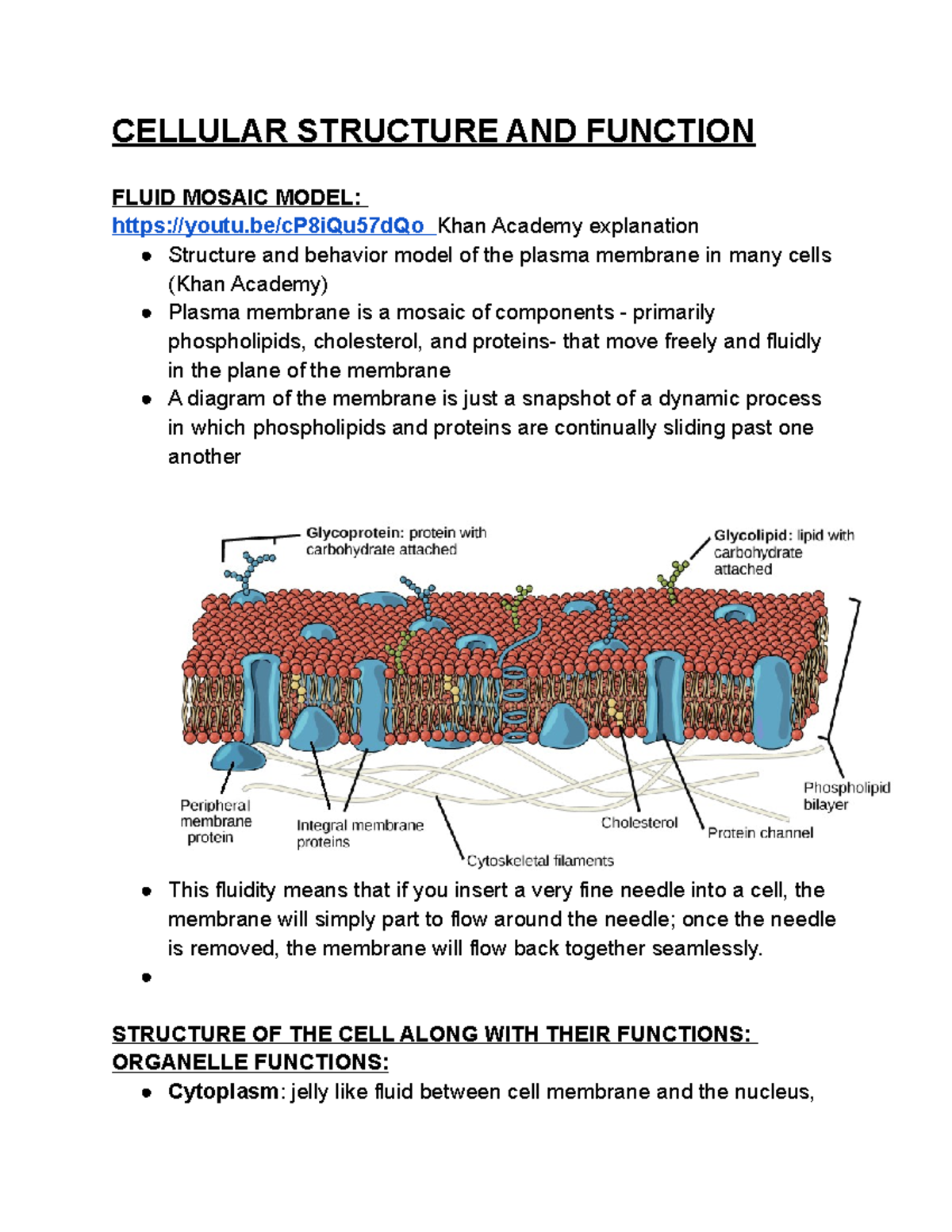 Copy of NR507 Advance Pathophysiology Week 2 Quiz Study Group ...