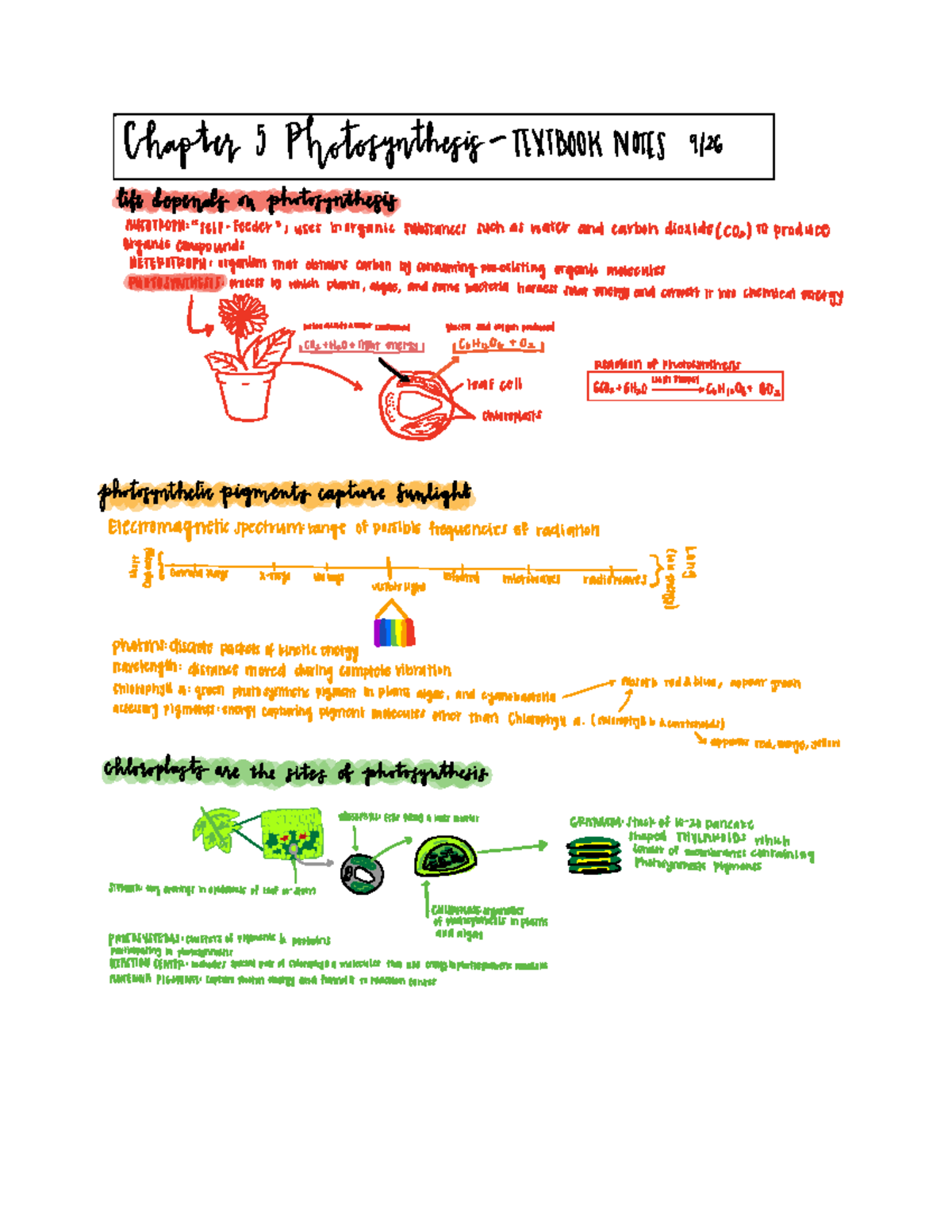 Chapter 5 Notes 2 - Chapter J photosynthesis TEXTBOOK NOTES 9126 life ...
