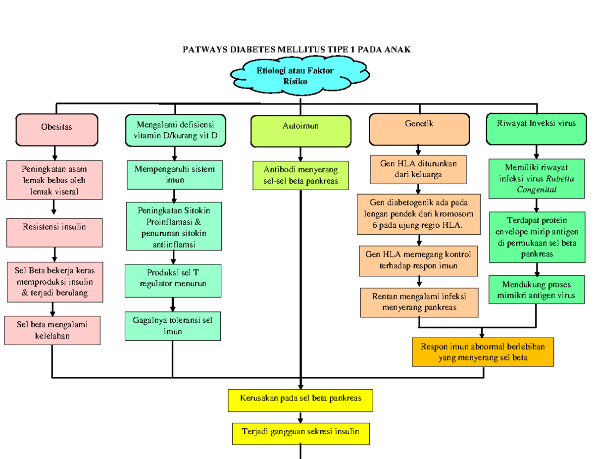 DM Juvenile - Etiologi atau Faktor Risiko - PATWAYS DIABETES MELLITUS ...