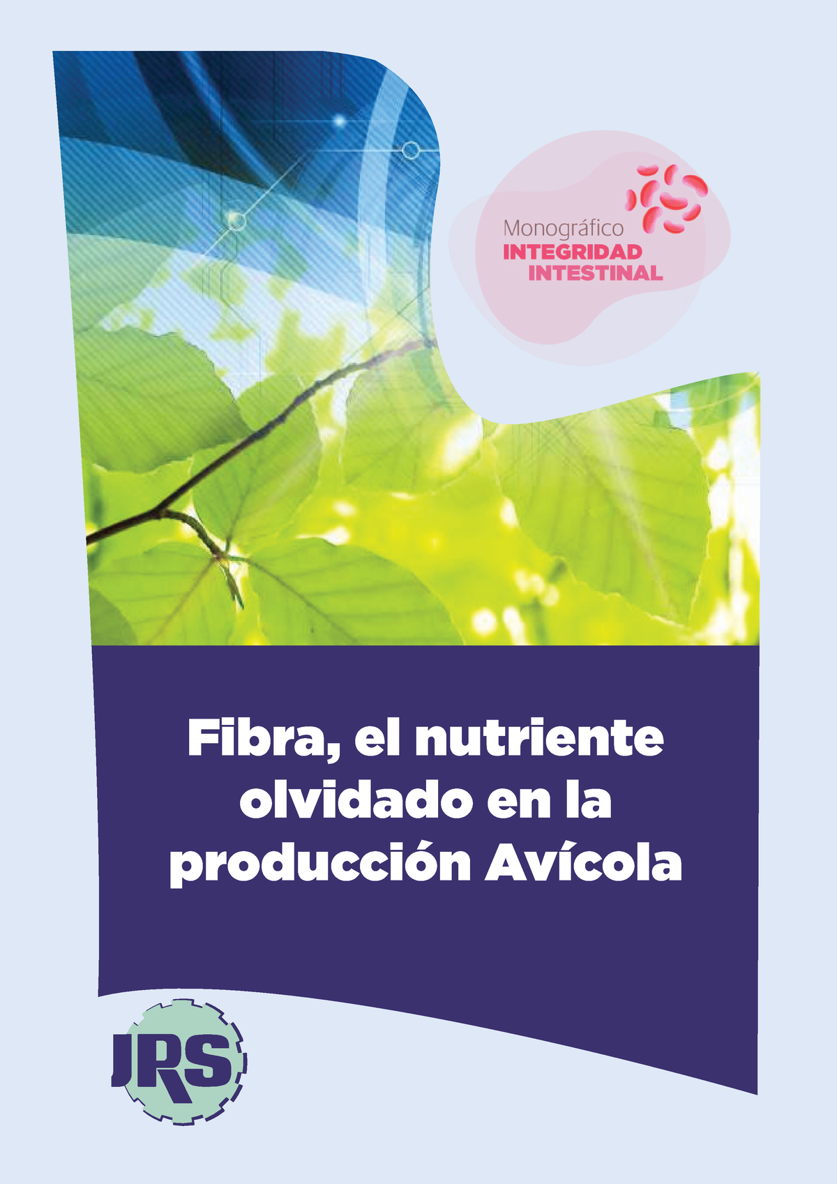 Artículofibra El Nutriente Olvidado En La Nutrición Avícola Fibra El Nutriente Olvidado En 