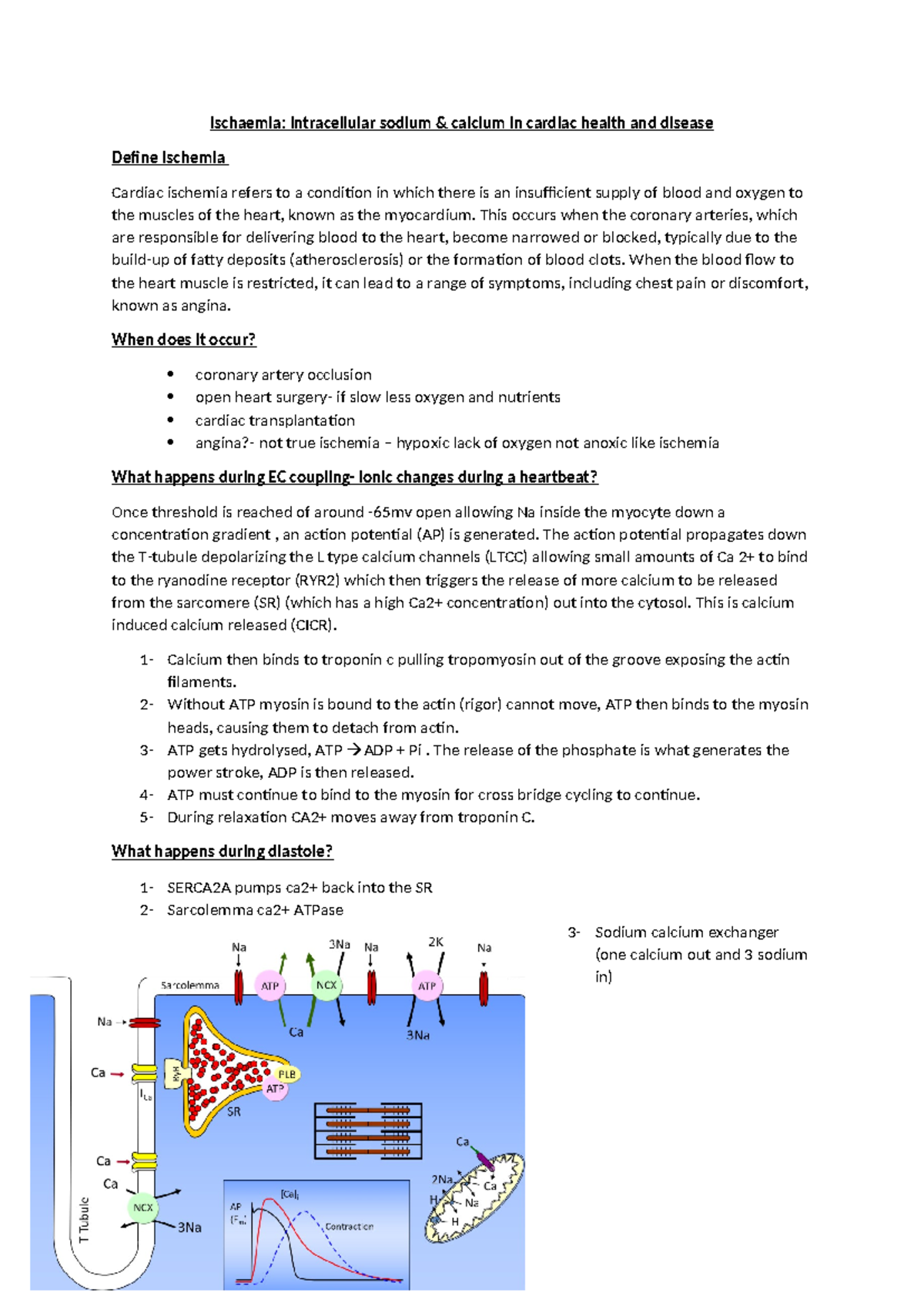 Ischaemia - Ischemia notes - Ischaemia: intracellular sodium & calcium ...