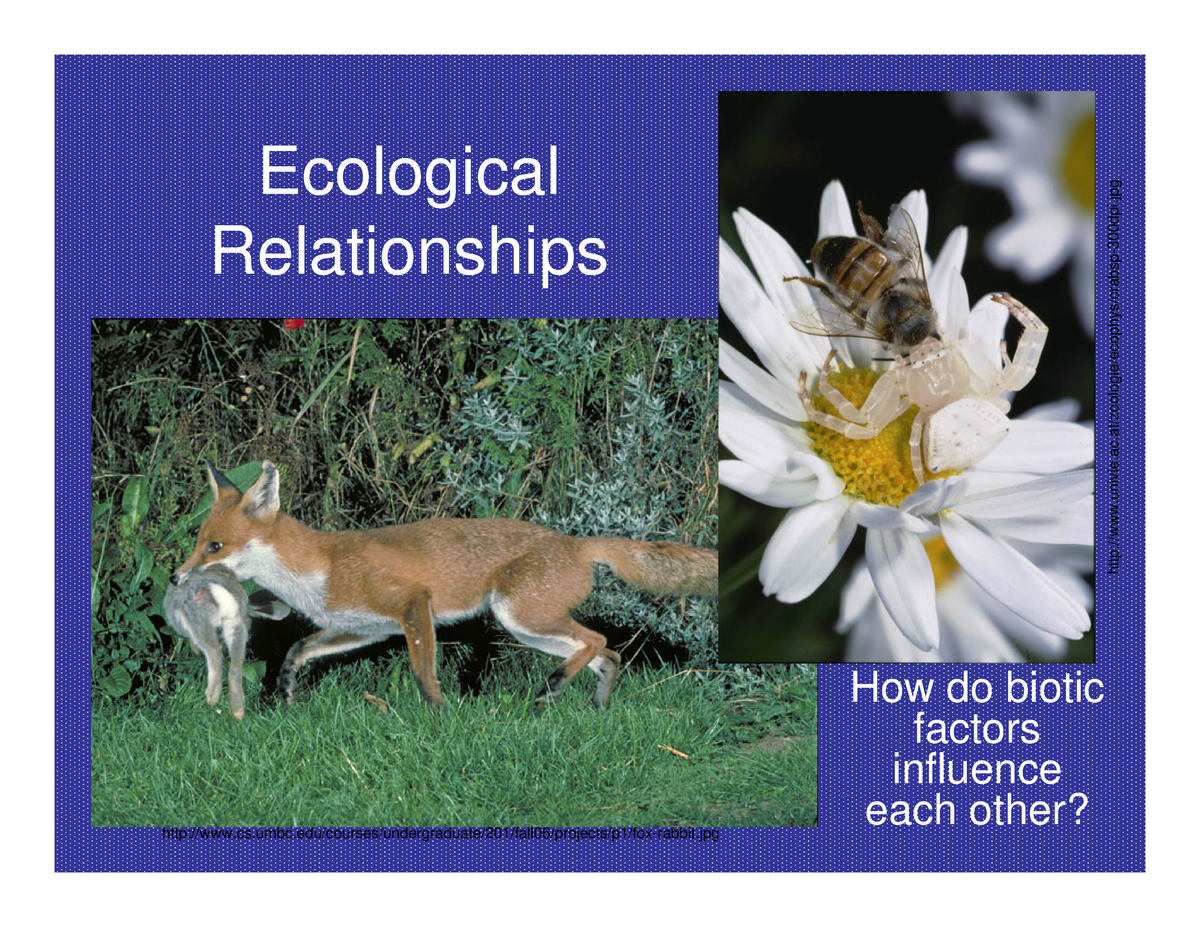 Eco Relationships Ecological Relationship Ecological Relationships