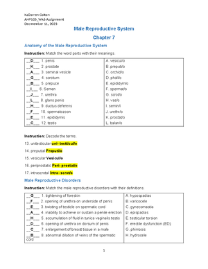 Week 3 Assignment Worksheet- finished - January 18, 2024 Week 3 ...