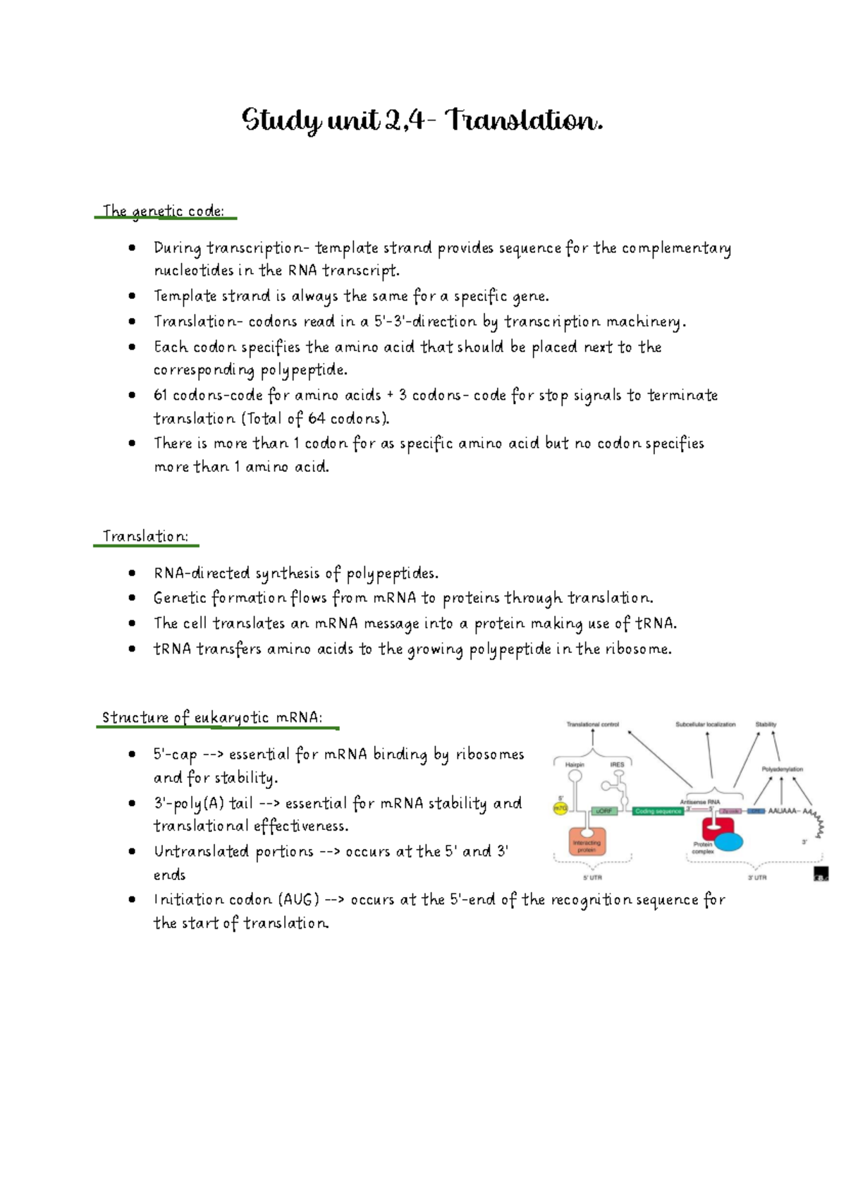 BCHS 317 SU 2 translation - Study unit 2, 4 - Translation. The genetic ...
