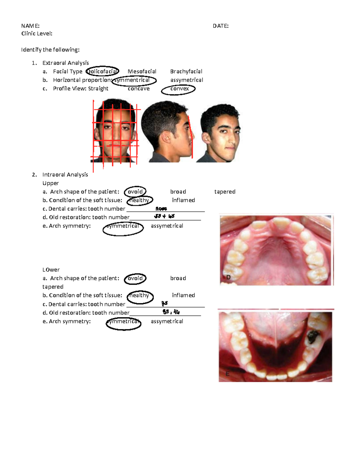C3 Ortho - LECTURE NOTES - NAME: DATE: Clinic Level: Identify the ...