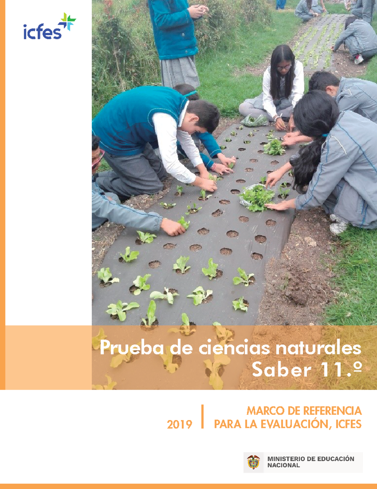 MR Ciencias Naturales Saber 11 - 2019 MARCO DE REFERENCIA PARA LA ...