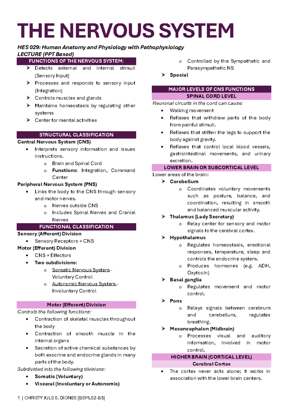 [ Trans] THE Nervous System - HES 029: Human Anatomy and Physiology ...