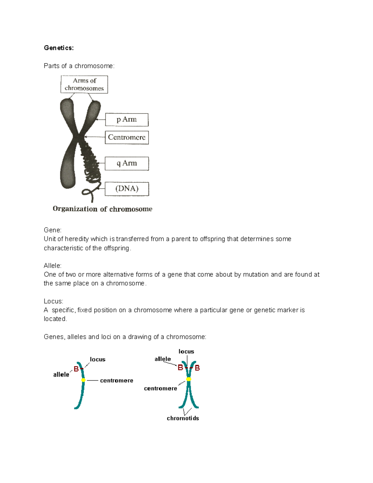 Genetics - Genetics: Parts of a chromosome: Gene: Unit of heredity ...