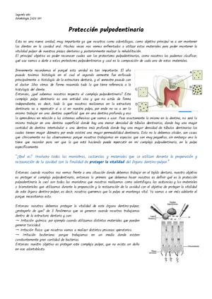 Bases Cavitarias - Odontologia 2017 - María Fernanda Campero Biomateriales 2017 Bases Cavitarias ...