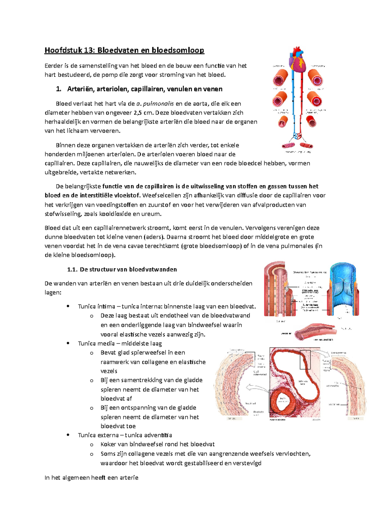 Fysiologie Hoofdstuk 13 - Hoofdstuk 13: Bloedvaten En Bloedsomloop ...