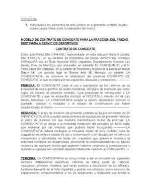 Modelo Contrato - CONSIGNA Individualice los elementos de acto jurídico en  el presente contrato - Studocu