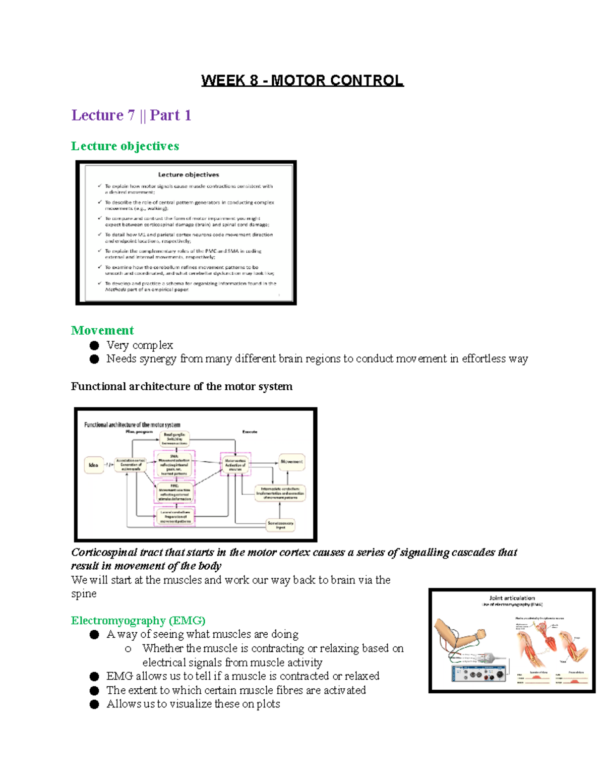 WEEK 8: motor control (action) - WEEK 8 - MOTOR CONTROL Lecture 7 ...