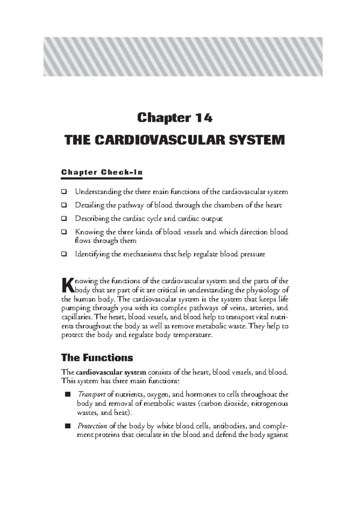 Structure Of Heart - Chapter 14 THE CARDIOVASCULAR SYSTEM C H A P T E R ...