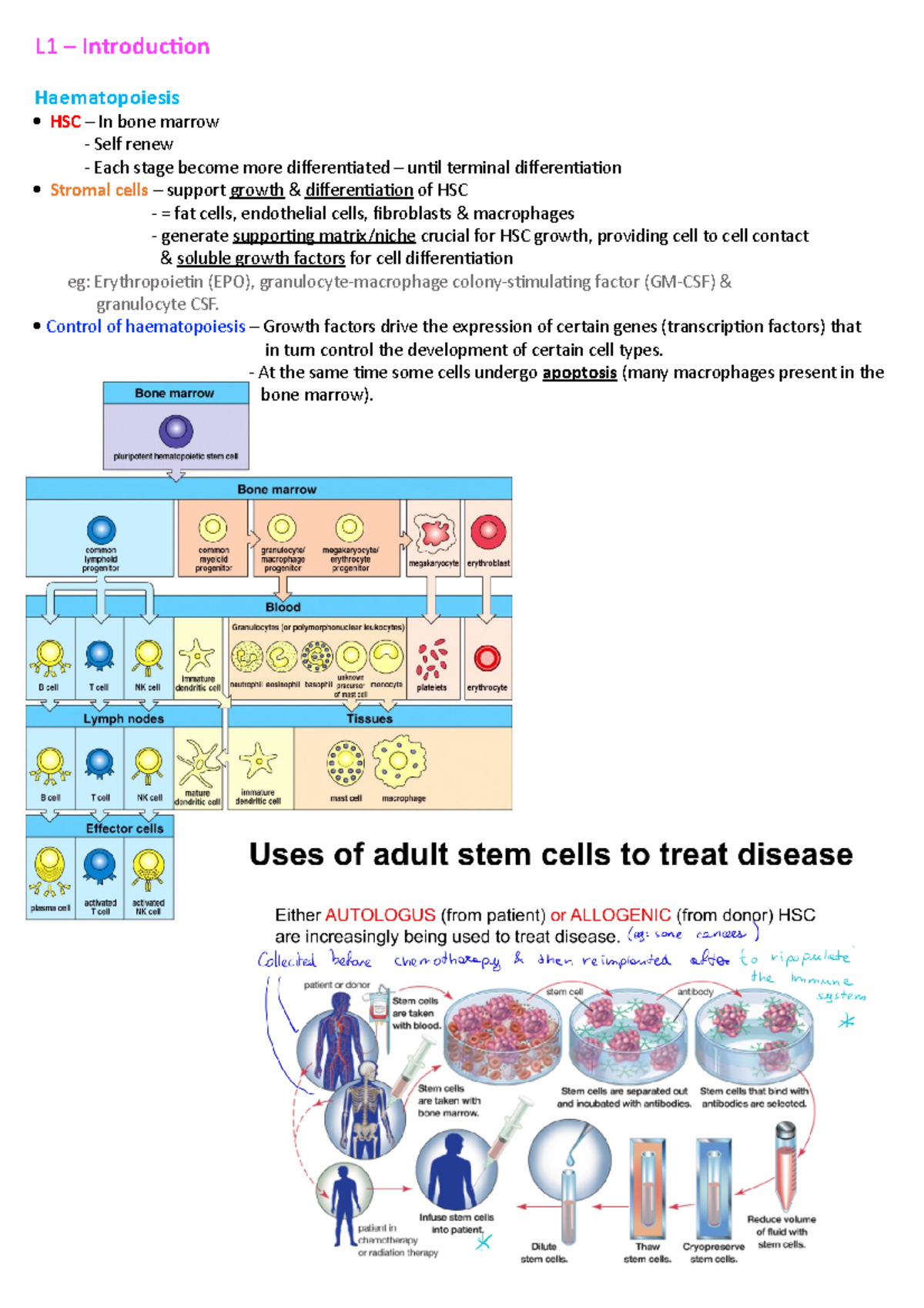 L1 - Introduction - Lecturer: David Fear - L1 – Introduction ...