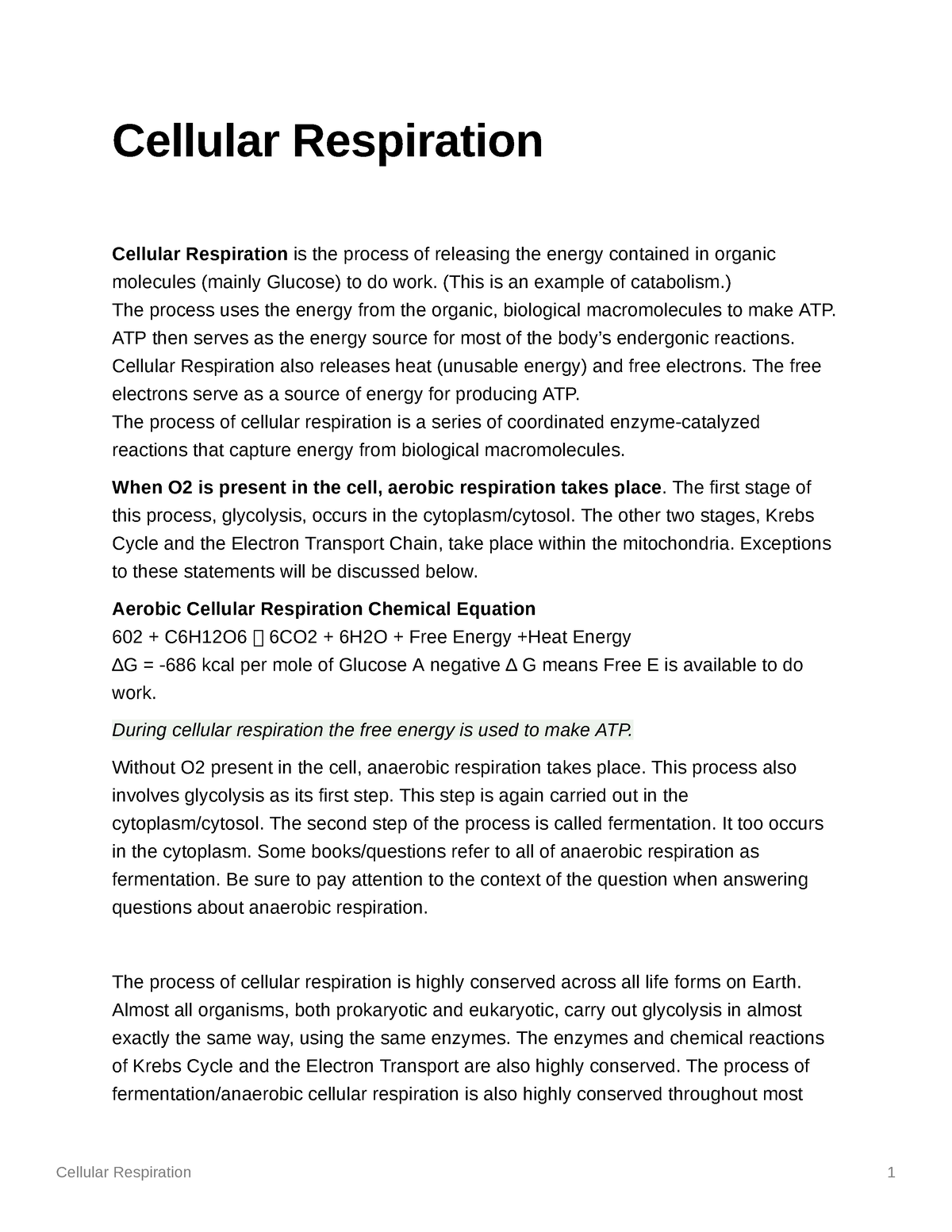 my cellular respiration essay