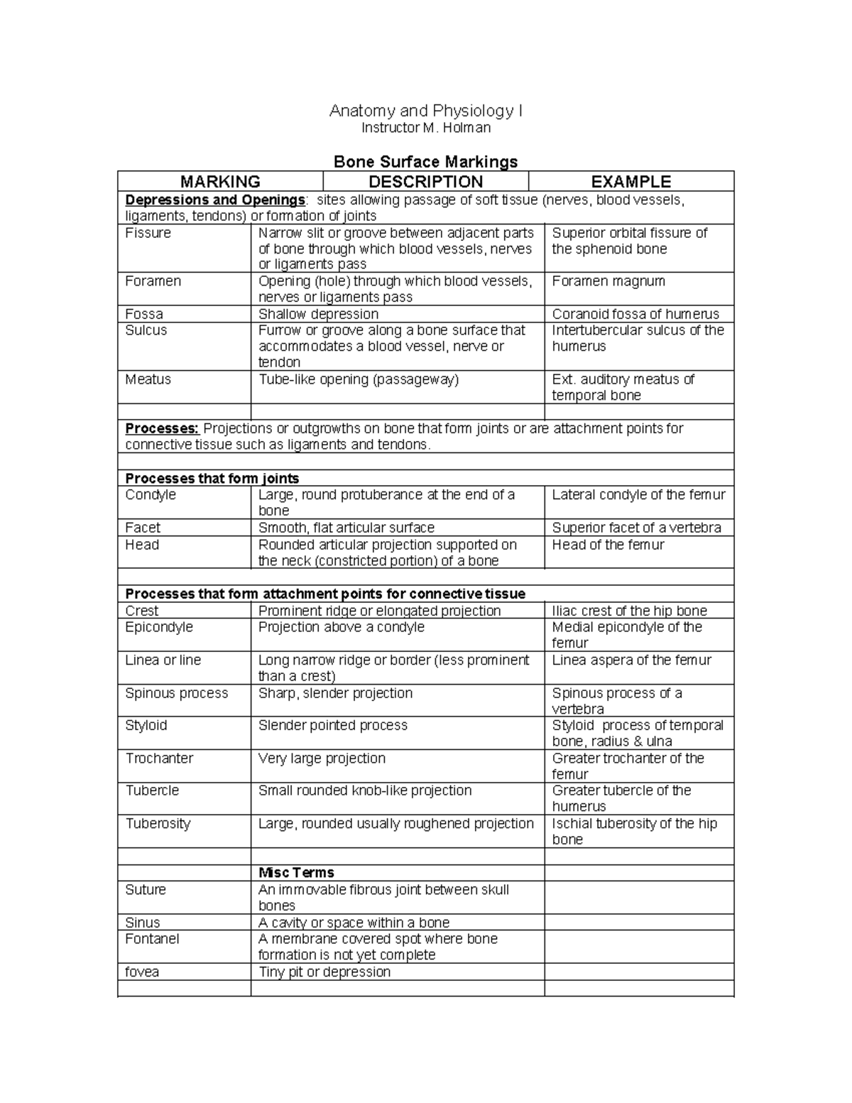 Bone surface Markings - teyrhsrh - Anatomy and Physiology I Instructor ...