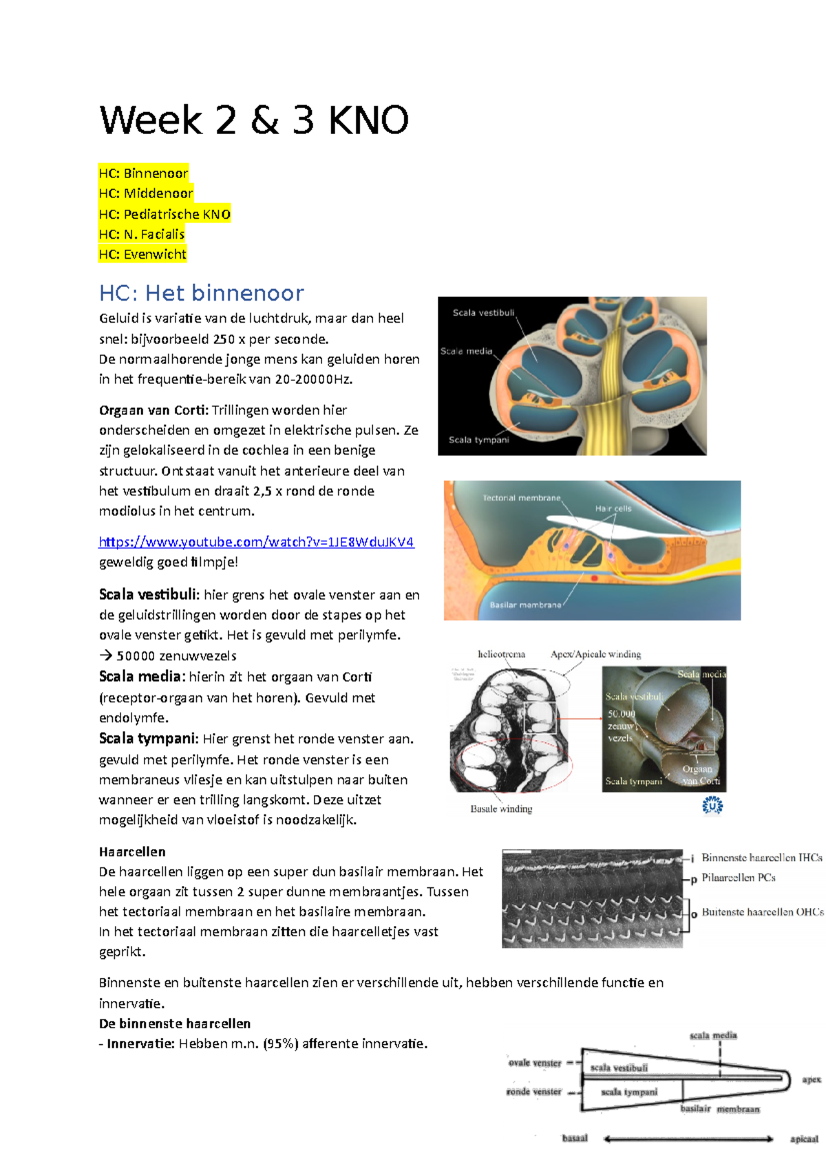 Module KNO - KNO - Week 2 & 3 KNO HC: Binnenoor HC: Middenoor HC ...