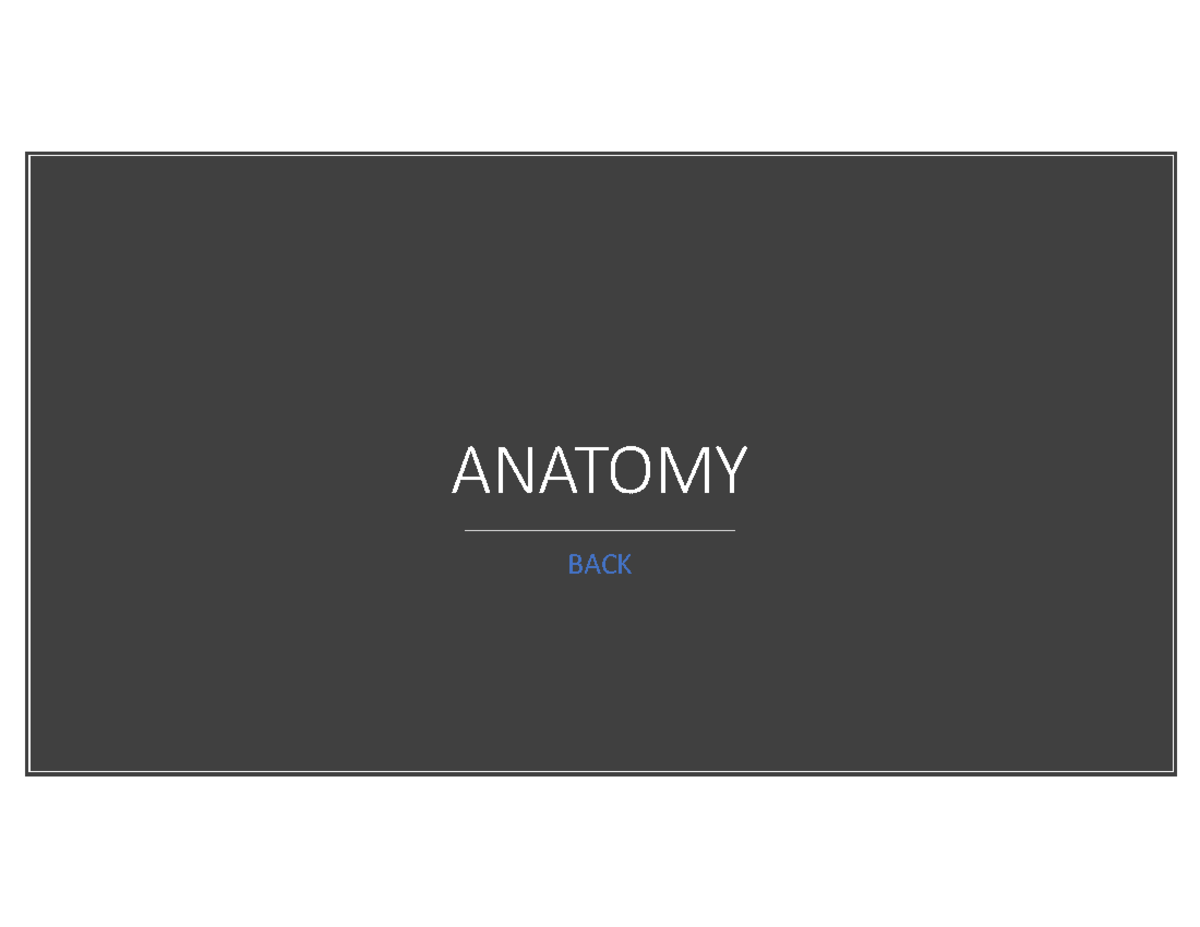 physical education - ANATOMY BACK Muscles of the BACK Superficial ...