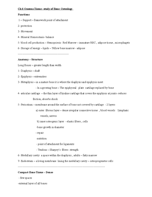 Ch 10 muscular tissue A&P - CHAPTER 10 MUSCULAR TISSUE An Introduction ...