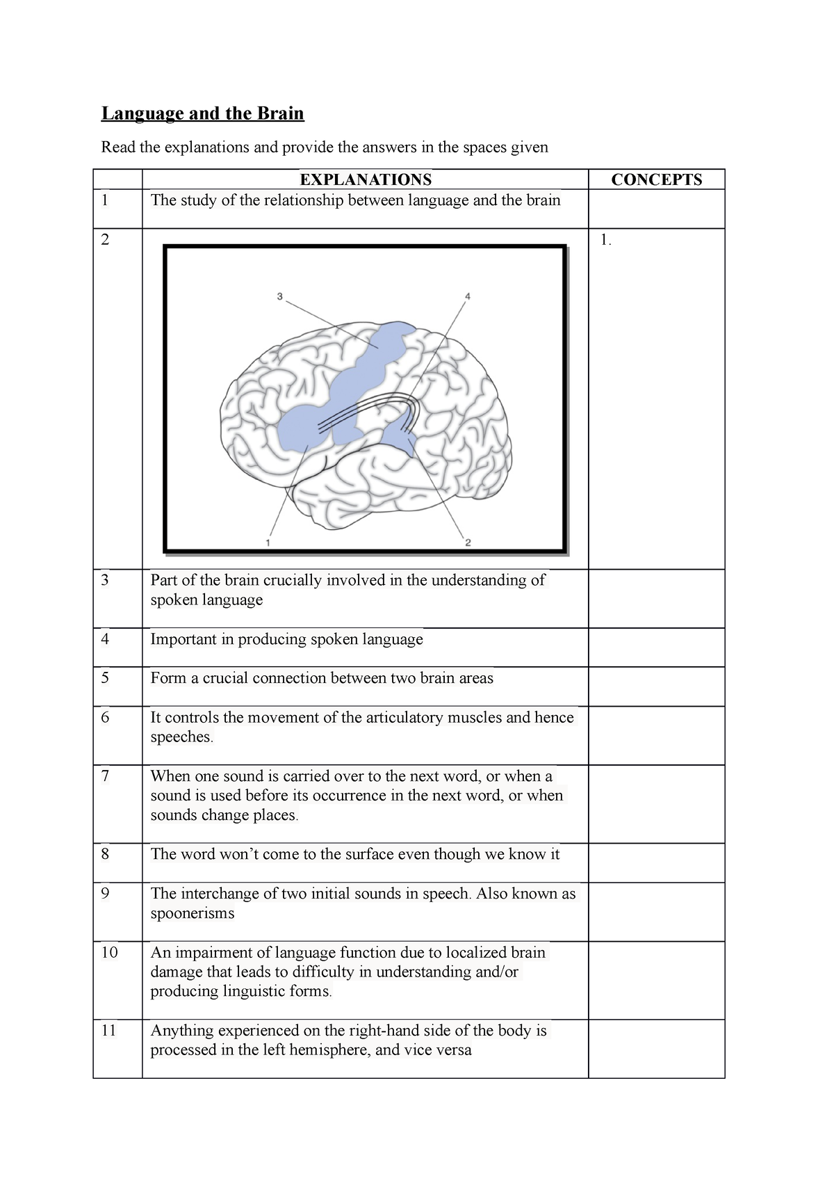 Language And The Brain - An Example - Language And The Brain Read The 