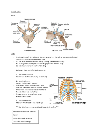 Keele STar T Musculoskeletal Tool - The Keele STarT Musculoskeletal ...