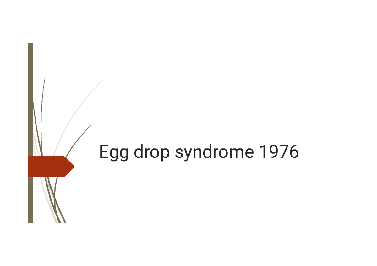 Egg drop syndrome 1976 Veterinary notes Egg drop syndrome