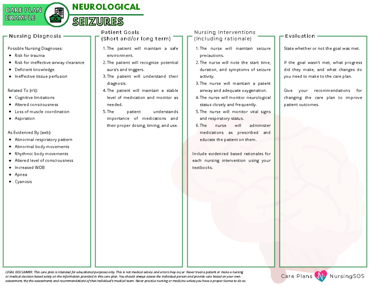 Example - Care Plan - Seizures - C a r e P l a n s N u r s i n g S O S ...