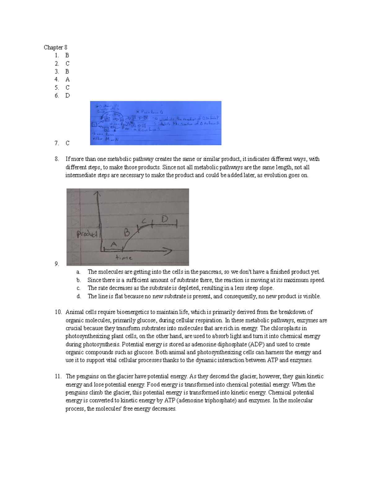 Chapter+8+&+9 - dont have one - Chapter 8 1. B 2. C 3. B 4. A 5. C 6. D ...