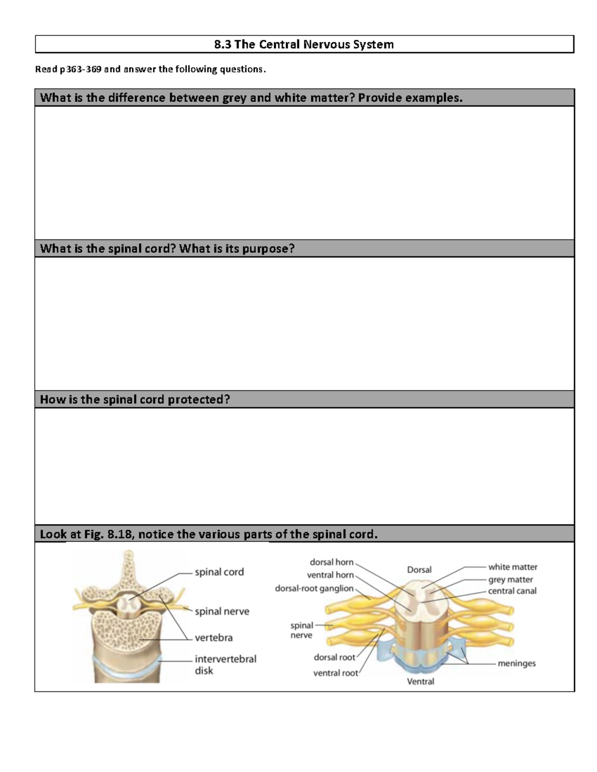 8.3 The Central Nervous System Note - 8 The Central Nervous System Read ...