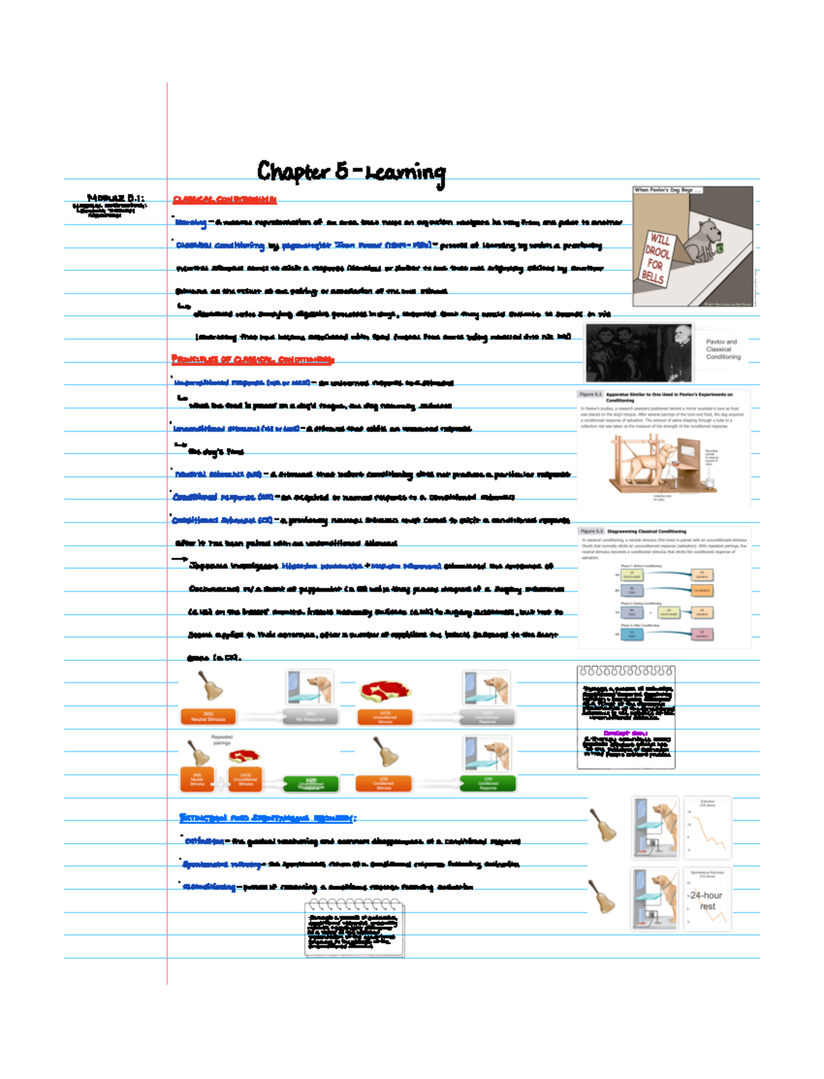 Psychology chapter 5 - Chapter 5 Learning Modules I association ...