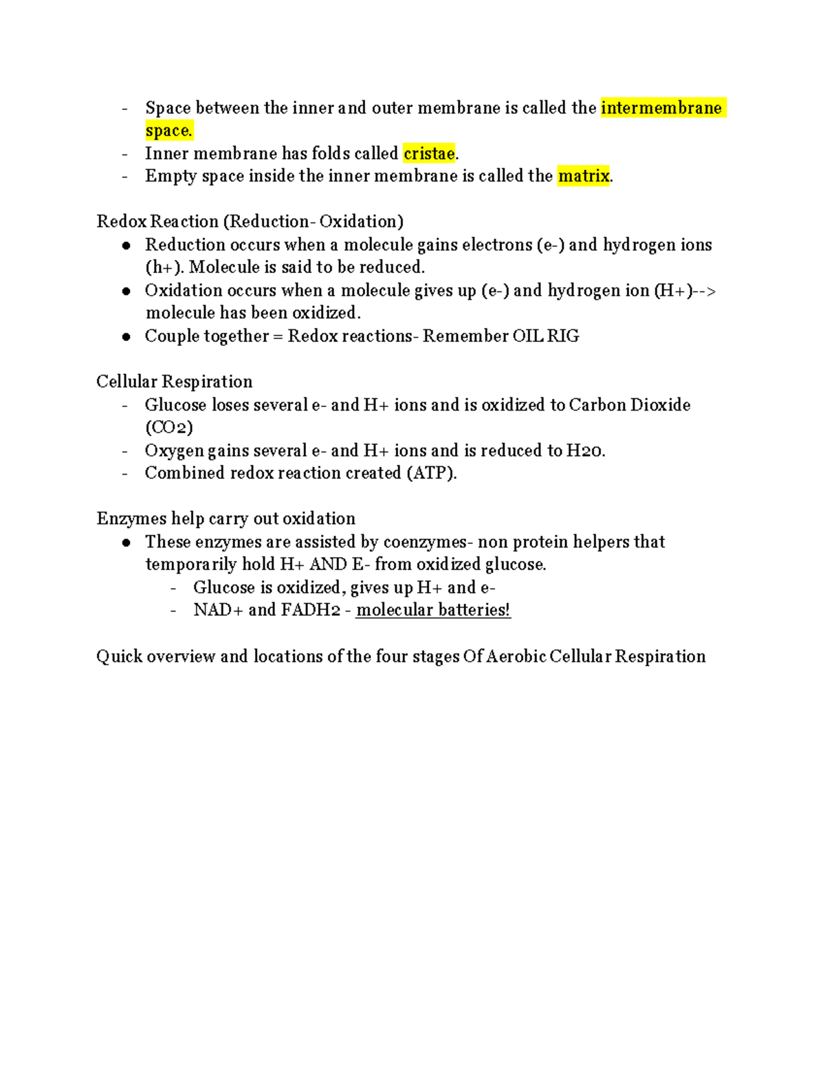 Untitled Document - Notes - Space Between The Inner And Outer Membrane ...