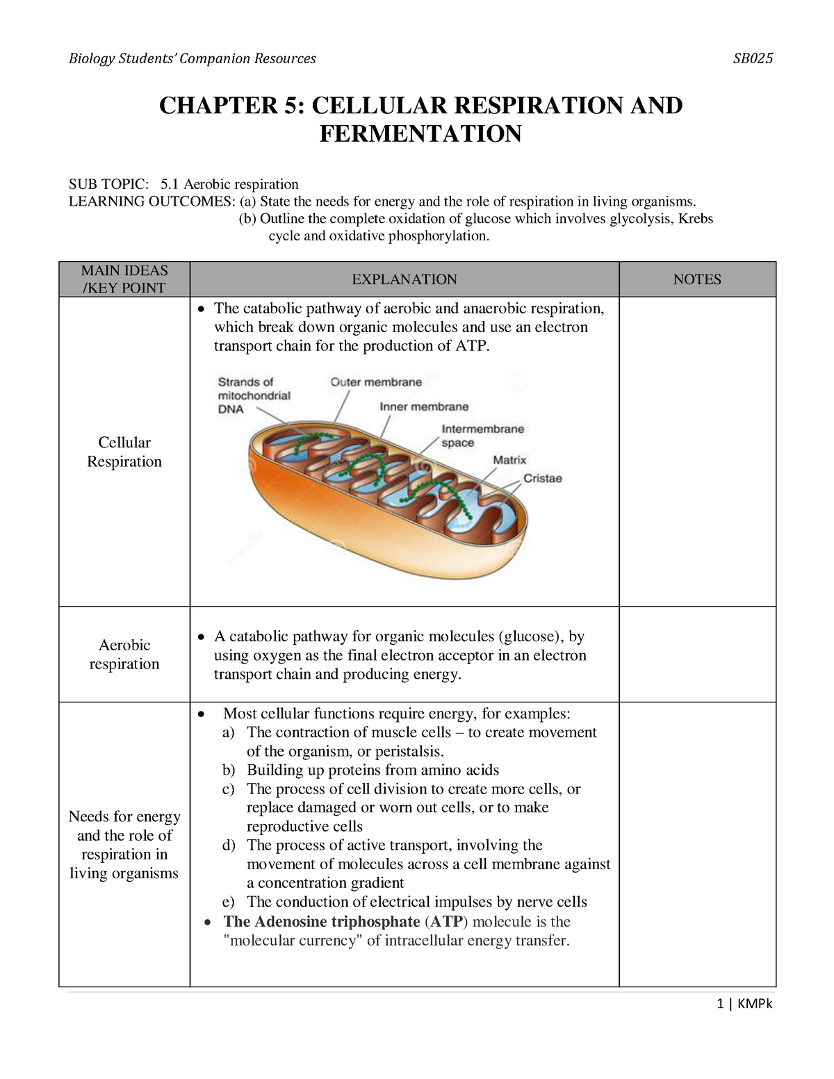 SB02 5 5. Cellular Respiration - CHAPTER 5: CELLULAR RESPIRATION AND ...