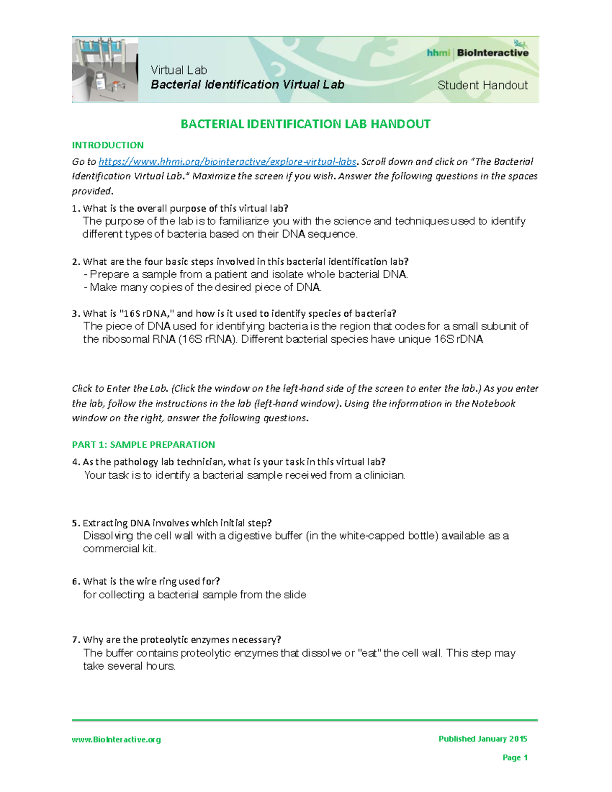 Bacterial Identification Lab Worksheet Student BioInteractive